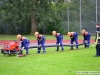 LSP_2013_012
