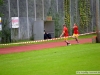LSP_2013_015
