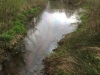 image003