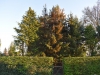 image015