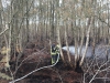 image019