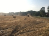 IMG-20190725-WA0014