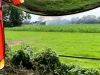 IMG-20200718-WA0010